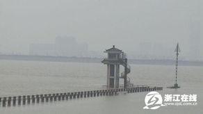 杭州潮水爆料最新消息,最新潮水动态及热点事件速览