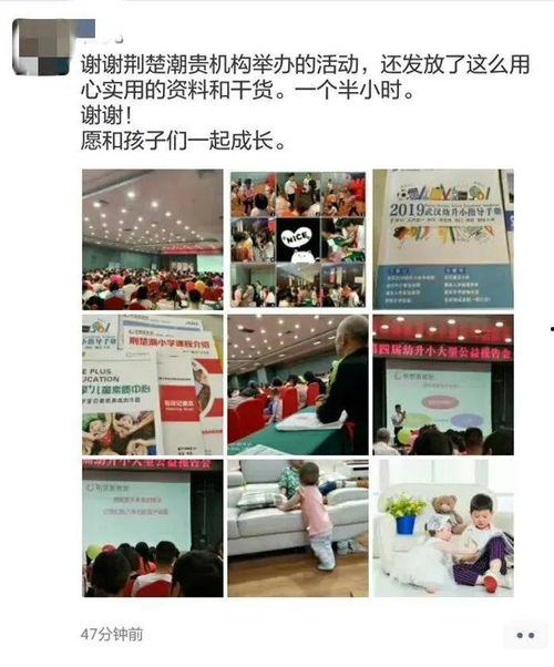 新溪最新爆料汇总,揭秘事件背后真相与内幕