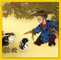 属兔最新爆料,揭秘生肖兔的神秘面纱